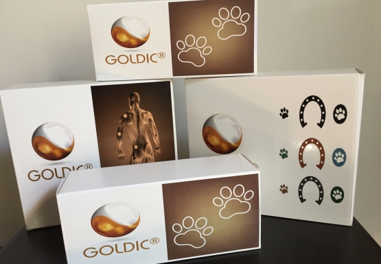 Qu'est-ce que GOLDIC®